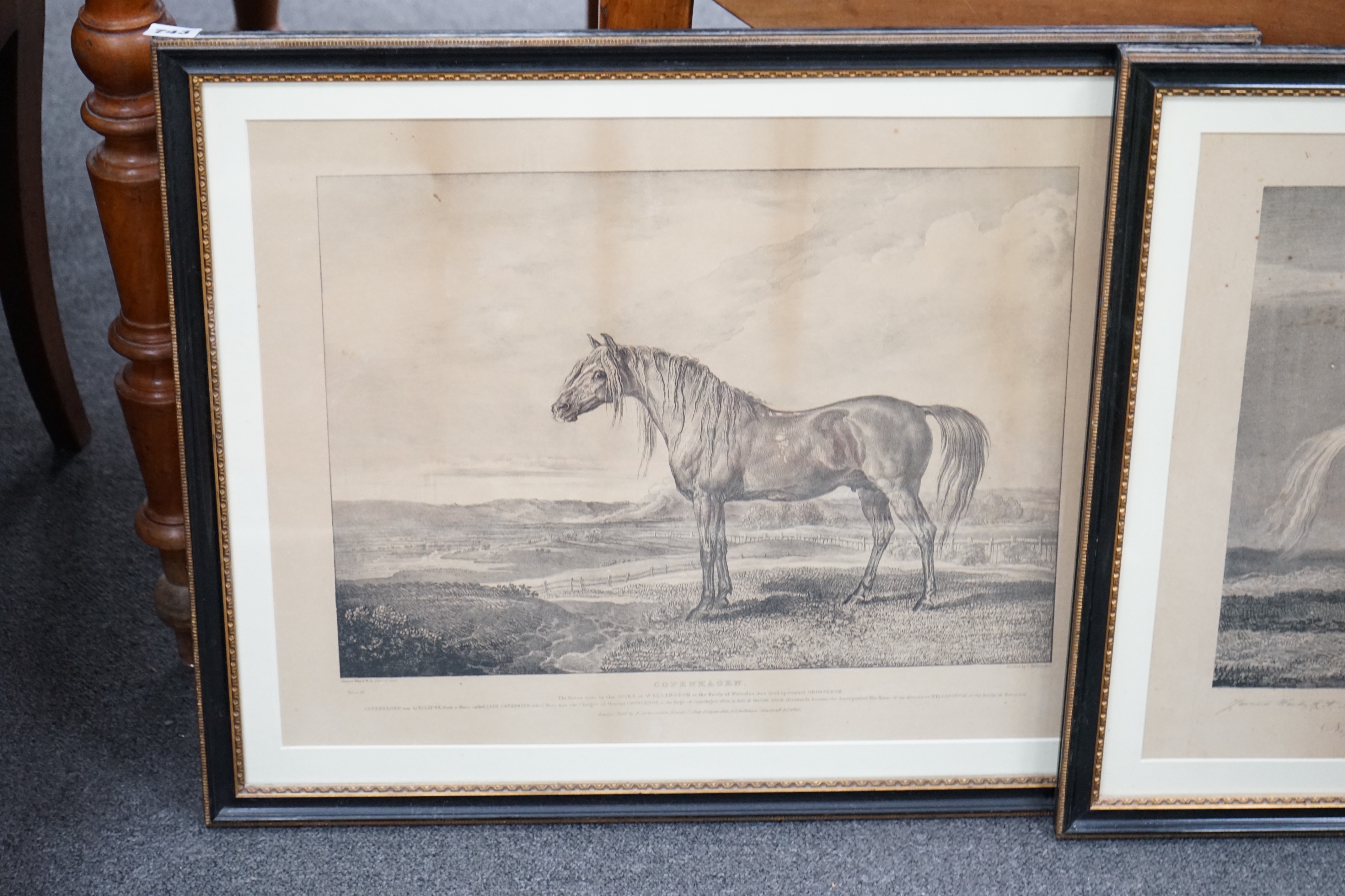 After Rudolph Ackermann (1764-1834) and James Ward (1769-1859), two black and white engravings, 'Copenhagen' and 'Marengo', Wellington and Napoleon's horses, largest 43 x 54cm